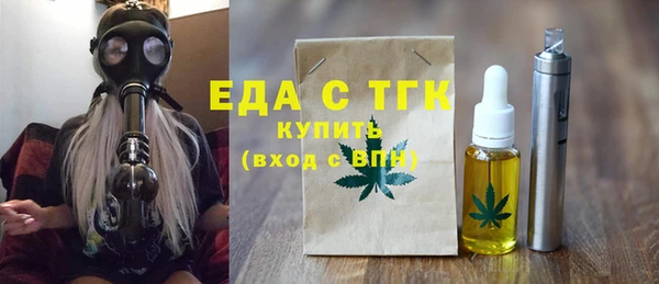 тгк Ельня